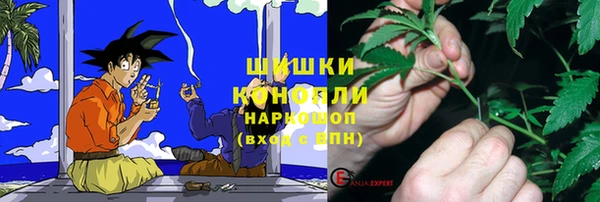 хмурый Абаза