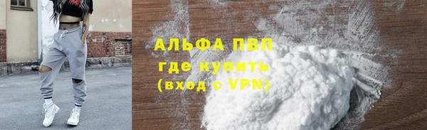 хмурый Абаза