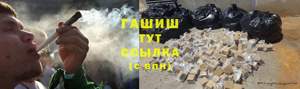 хмурый Абаза