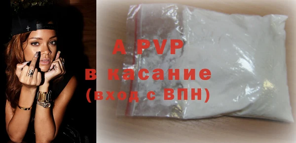 хмурый Абаза
