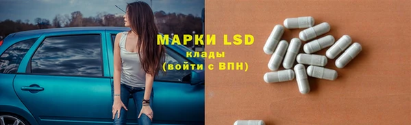 хмурый Абаза