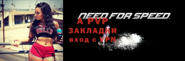 хмурый Абаза