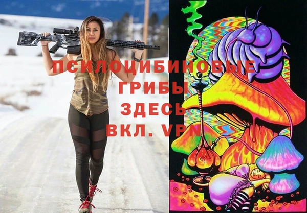 соль ск Абдулино